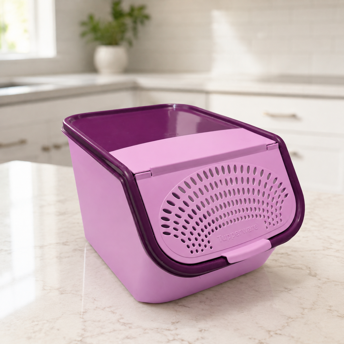 Contenant intelligent à pommes de terre Tupperware