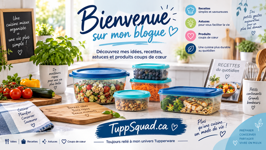 ✨ C’est le temps d’aller découvrir mon nouveau site! ✨