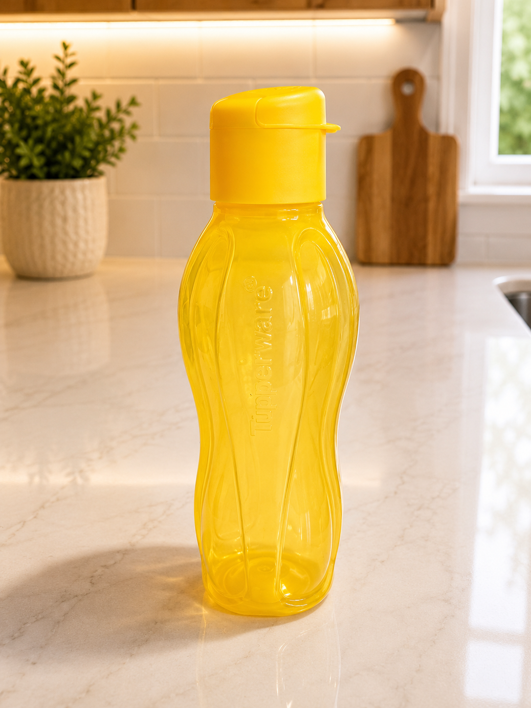 Grande bouteille à eau | Eco+