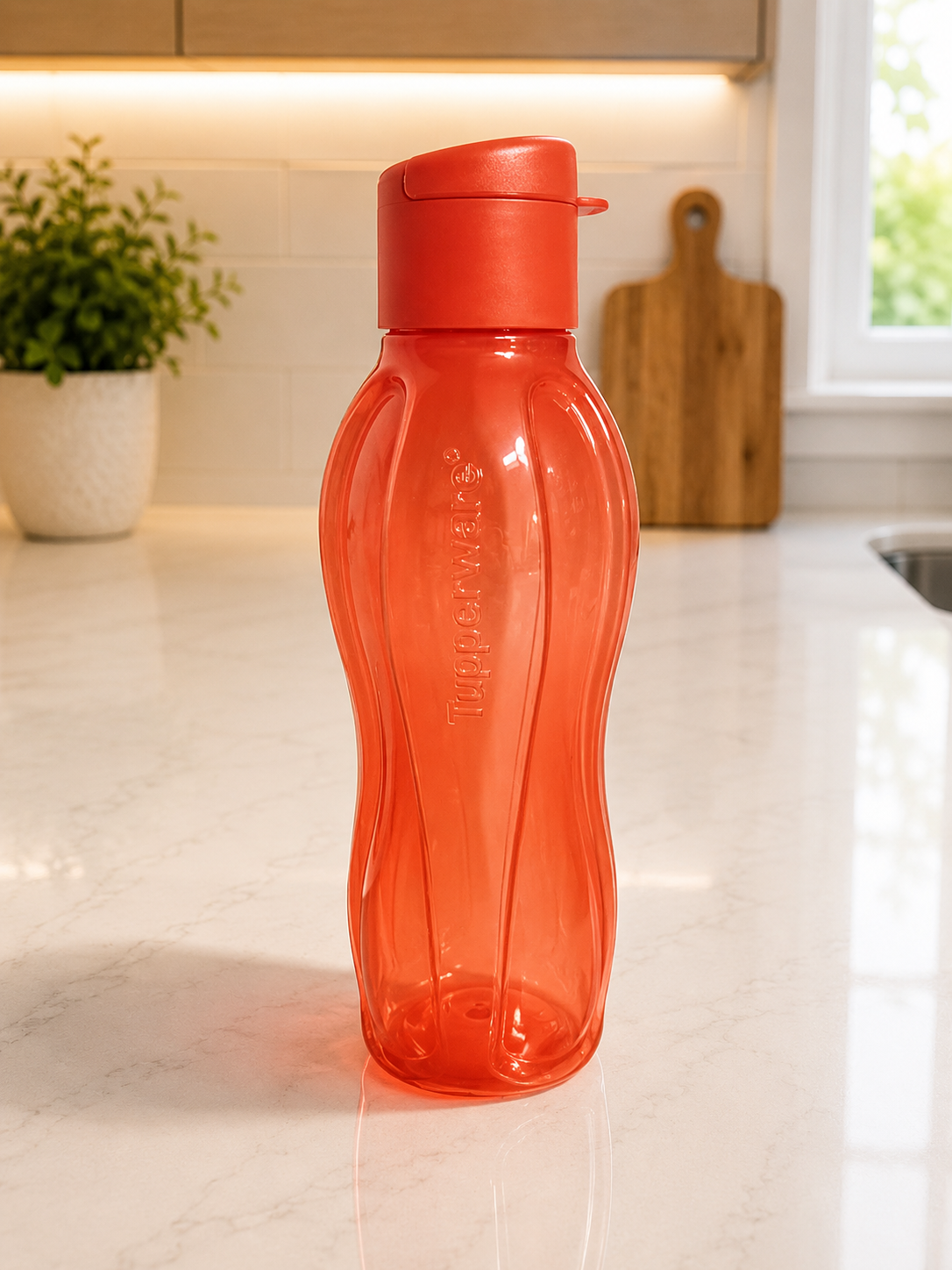 Grande bouteille à eau | Eco+