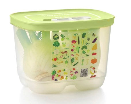 🥬 Intelli-Frais Moyen Tupperware 🥬