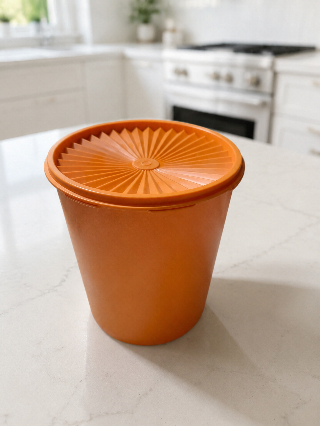 Garde-ingrédients XL Servalier Tupperware